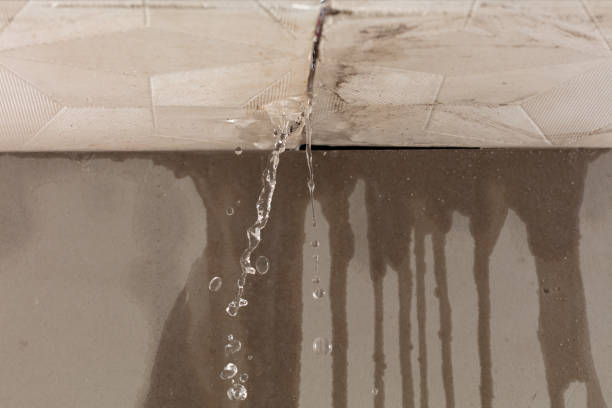 Professional Water Damage Inspection technician working in Feura Bush, NY